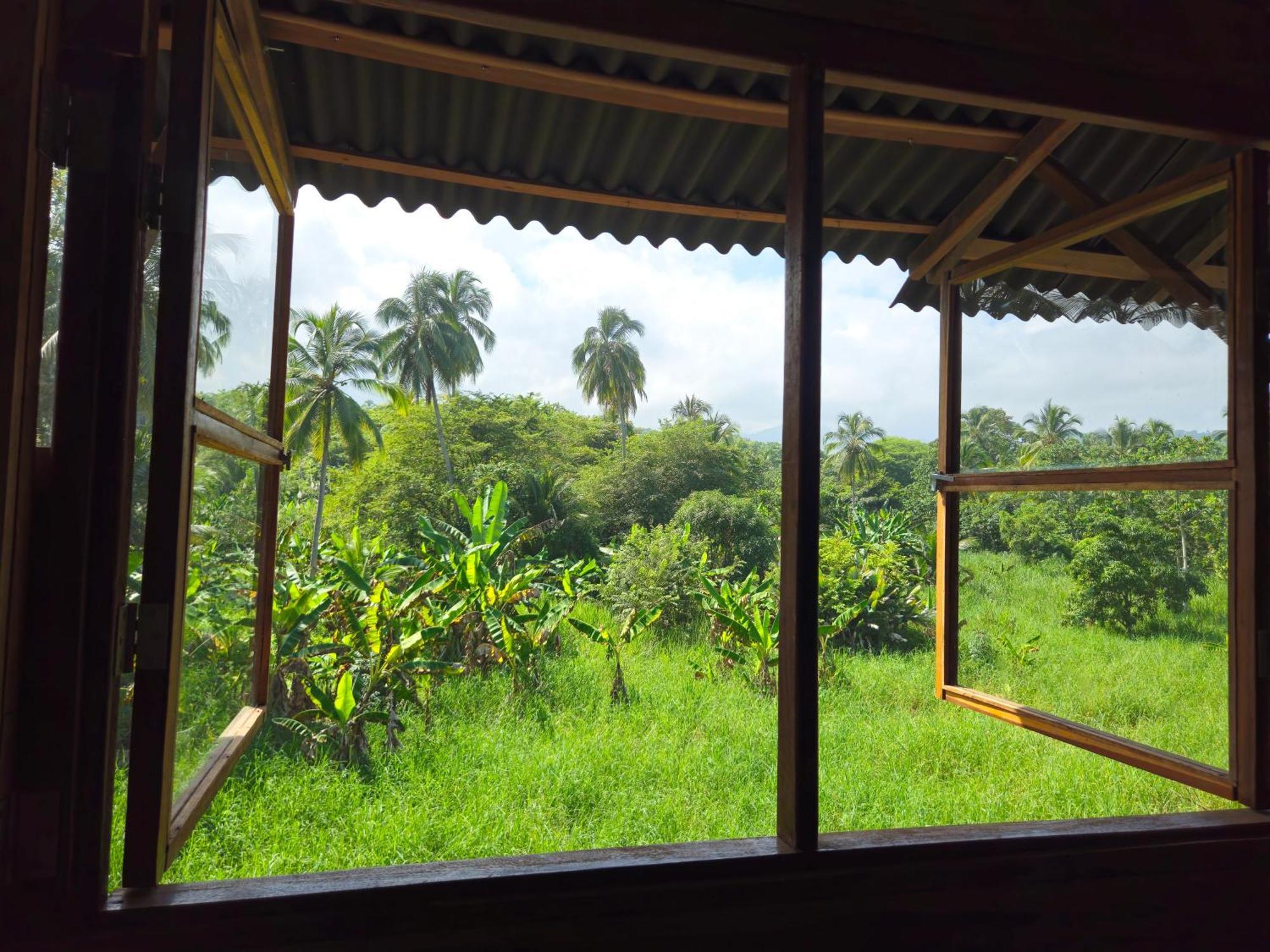 Guachaca Natyva House 아파트 외부 사진