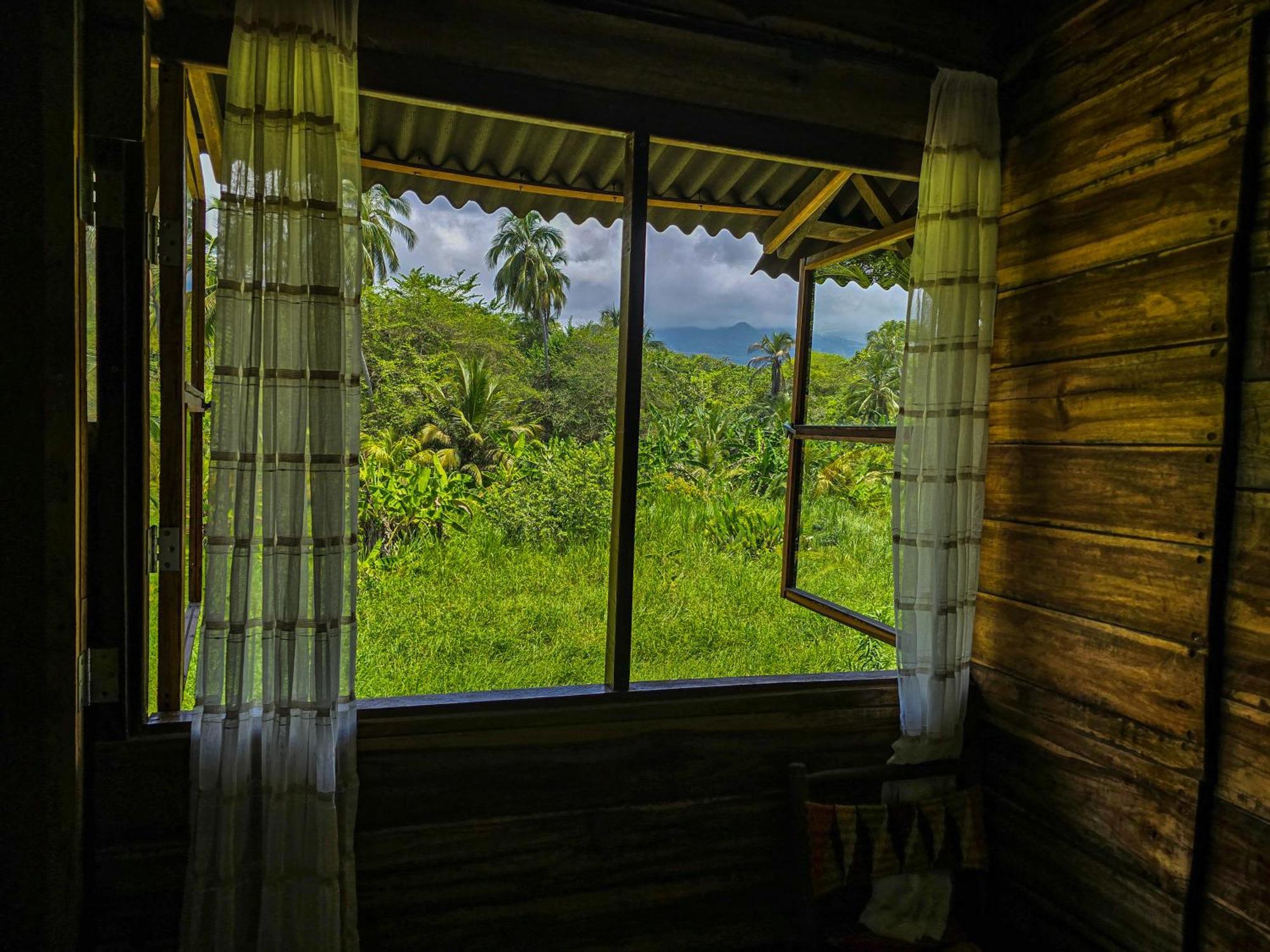 Guachaca Natyva House 아파트 객실 사진
